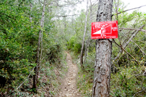 Senyalització del circuit de <i>trail-running</i>.