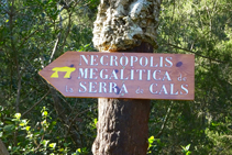 Camí a la necròpolis megalítica de la serra de Cals.