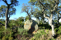 Pedra dreta de les Tres Finques.