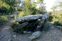 Dolmen de la serra de Cals.