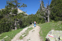 Avancem per un camí còmode tot seguint les marques del GR.