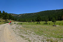 La pista puja plàcidament. Al fons, el contrafort NE de la Torreta de l´Orri.