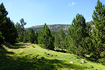 El sender, a vegades desdibuixat, enfila cap al NO, entre el llom i el fons de la vall.