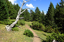 Continuem ara per la solana de la vall.