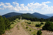 Drecera cap al coll de Rubió. Ja es veu el Roc del Músic.