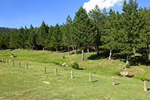 El pastoral riu de la vall de les Comes de Rubió.