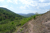 El camí flanqueja el vessant N del barranc fins que desemboca a la carretera.