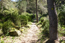 Camí de la Canal de la Tossa.