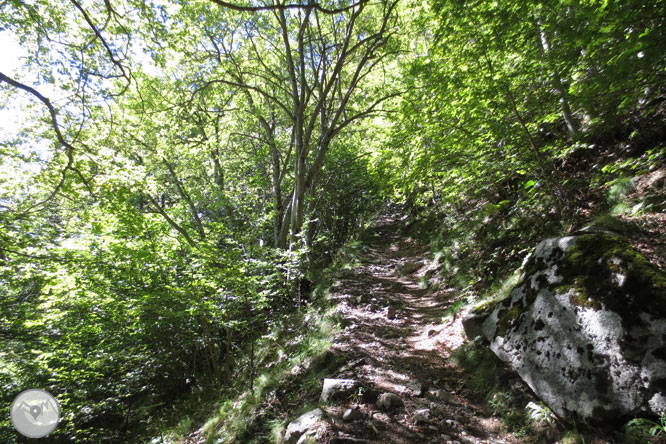 Estanys de Gémena a la vall de Llubriqueto 1 