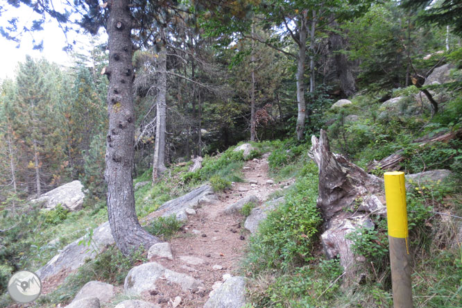 Estanys de Gémena a la vall de Llubriqueto 1 