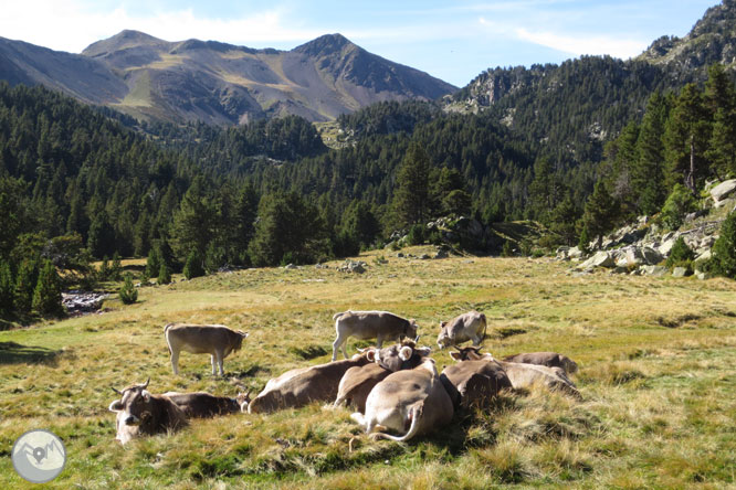 Estanys de Gémena a la vall de Llubriqueto 1 