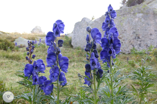 Estanys de Gémena a la vall de Llubriqueto 1 