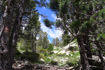 El camí guanya altura fent una ziga-zaga.