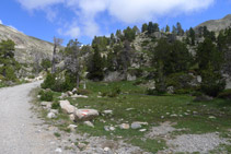 Des de la pista ens desviem a la dreta seguint les marques blanques i vermelles del GR 11.10.