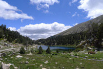 Avancem per la pista de terra fins a l´estany petit de la Pera (estany inferior).