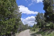 Fem el camí de baixada per la pista de terra.