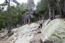 Zona amb bastants blocs de granit propers al sender.