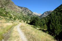 Comencem la ruta caminant per una pista forestal molt còmode seguint el GR 11-20.