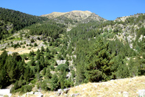 Des de l´altre vessant de la vall de Sant Martí tenim una bona panoràmica del barranc del Pessó.