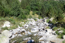 La pista avança paral·lela i a tocar del riu de Sant Martí.