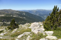 Baixada per la serra de les Pedrusques.