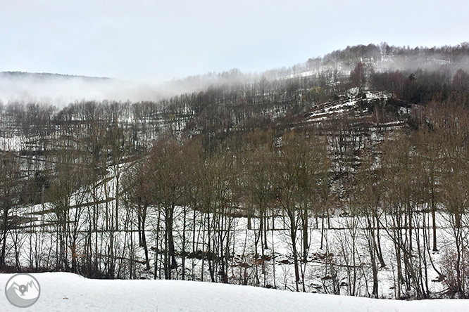 La font de les Dous per les planes d