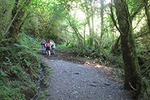 Caminem de pujada per l´interior del bosc.