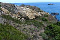 Esquistos (de color gris) i pegmatites (blanques i ataronjades) al Parc Natural del Cap de Creus.