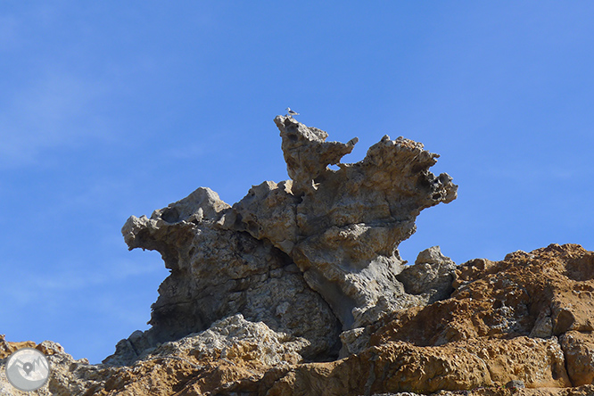 GR 11 - Etapa 01: Cap de Creus - El Port de la Selva 1 