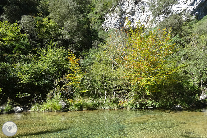 GR 11 - Etapa 06: Albanyà - Sant Aniol d