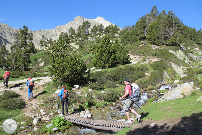 GR 11 - Etapa 09: Setcases - Santuari de Núria 1 