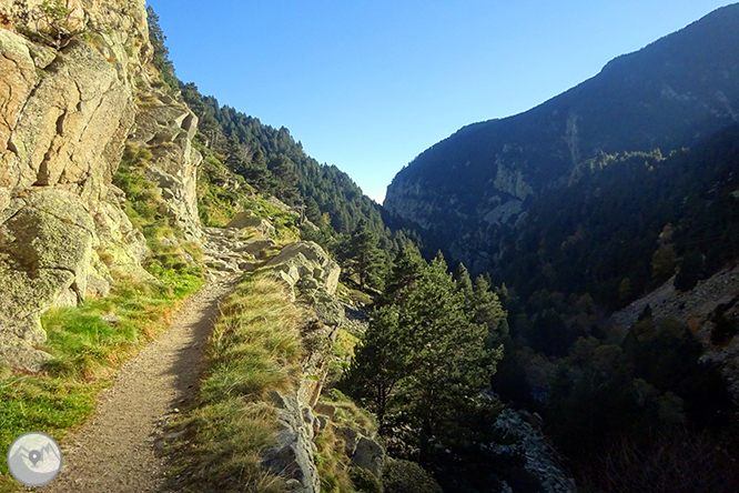 GR 11 - Etapa 10: Santuari de Núria - Planoles 1 