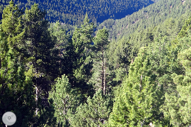 GR 11 - Etapa 11: Planoles - Puigcerdà 1 