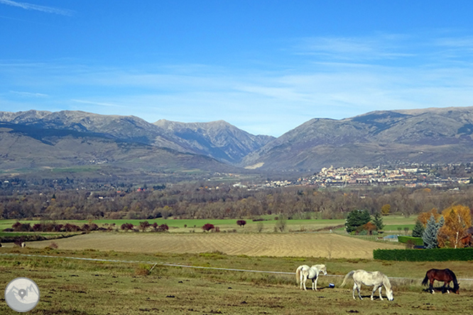 GR 11 - Etapa 11: Planoles - Puigcerdà 1 