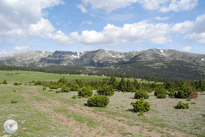 GR 11 - Etapa 12: Puigcerdà - Refugi de Malniu 1 