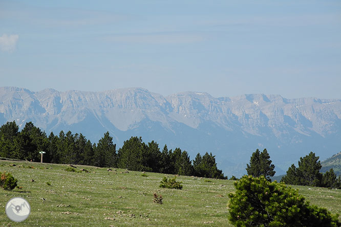 GR 11 - Etapa 12: Puigcerdà - Refugi de Malniu 1 