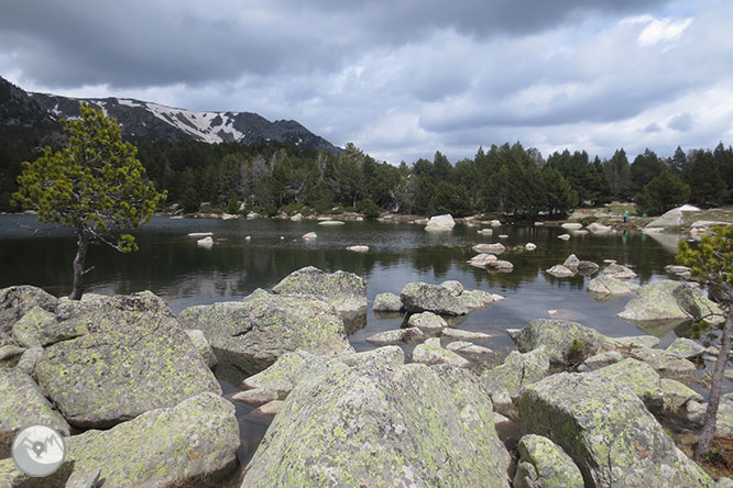 GR 11 - Etapa 12: Puigcerdà - Refugi de Malniu 1 