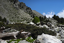 Zona de roques camí de l´estany de la Nou.