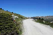 Avancem per una pista entre prats.