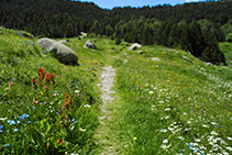 Baixanat cap a les Bordes d´Envalira.