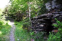 Cabana de pedra seca dins del bosc.