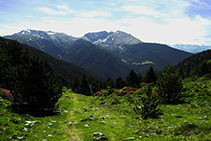 Deixem el bosc enrere i entrem al domini dels prats alpins.