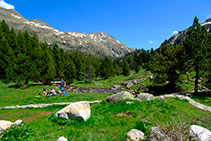 Prats alpins envoltats de pi negre i en darrer terme la cresta que fa de partió amb la Vall d´Aran.