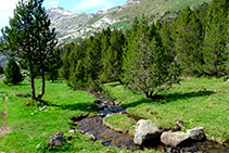 El rierol que davalla dels estanys de Villamuerta.