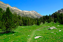 Prats alpins i cresta divisòria amb la Vall d´Aran.