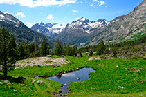 Llacuna reblerta de sediments. En darrer terme el massís de Perdiguero. 