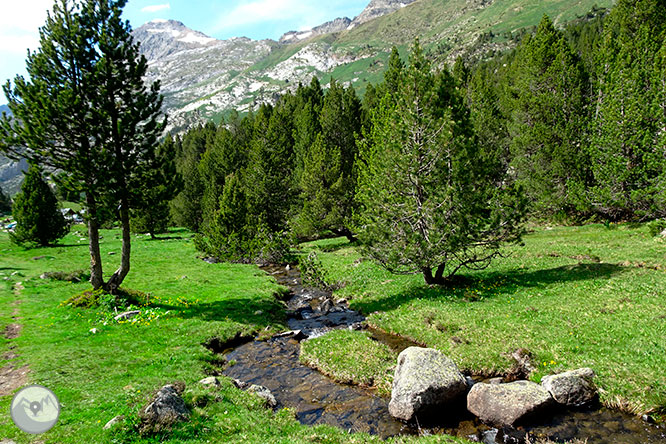 Estanys de Villamuerta des de la Besurta 1 