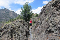 En algun punt, el camí s´estreny bastant.