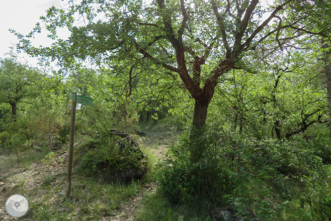 L’ermita de la Posa, el Parc Cretaci i les fortificacions del Front del Pallars des d’Isona 1 