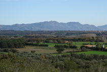 Serra de l´Albera des del Montpedrós.